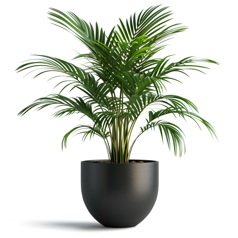 Collection de plantes d’intérieur dans un salon lumineux